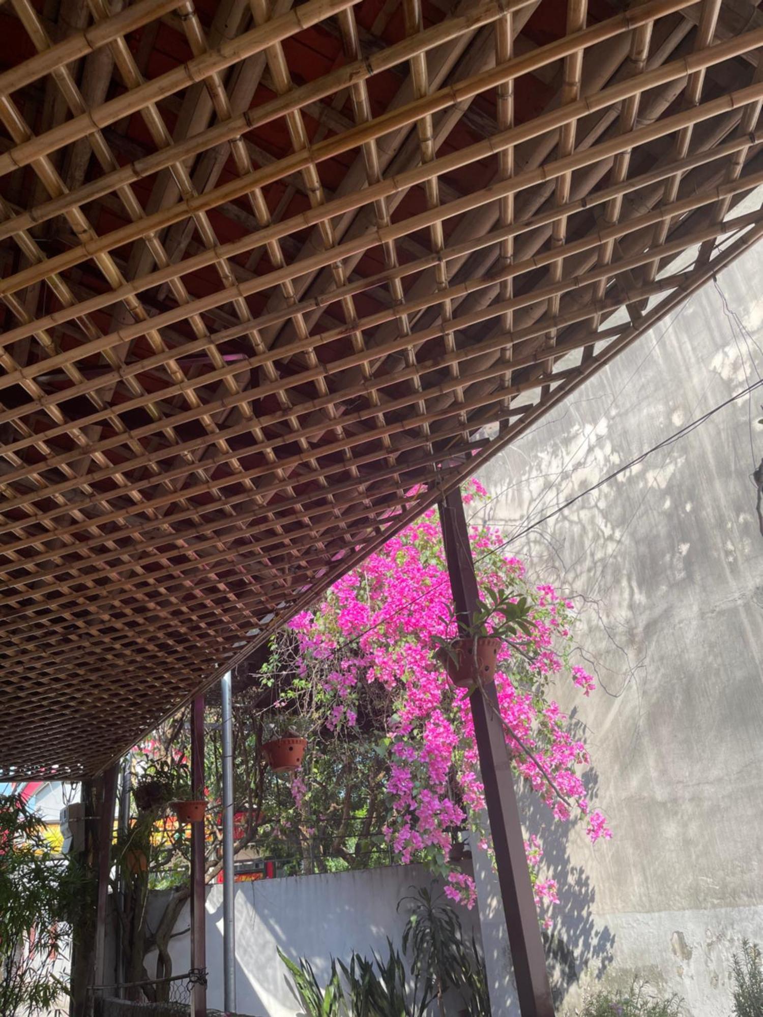 Thuy Xuyen Tam Coc Homestay Vu Lam Exterior photo