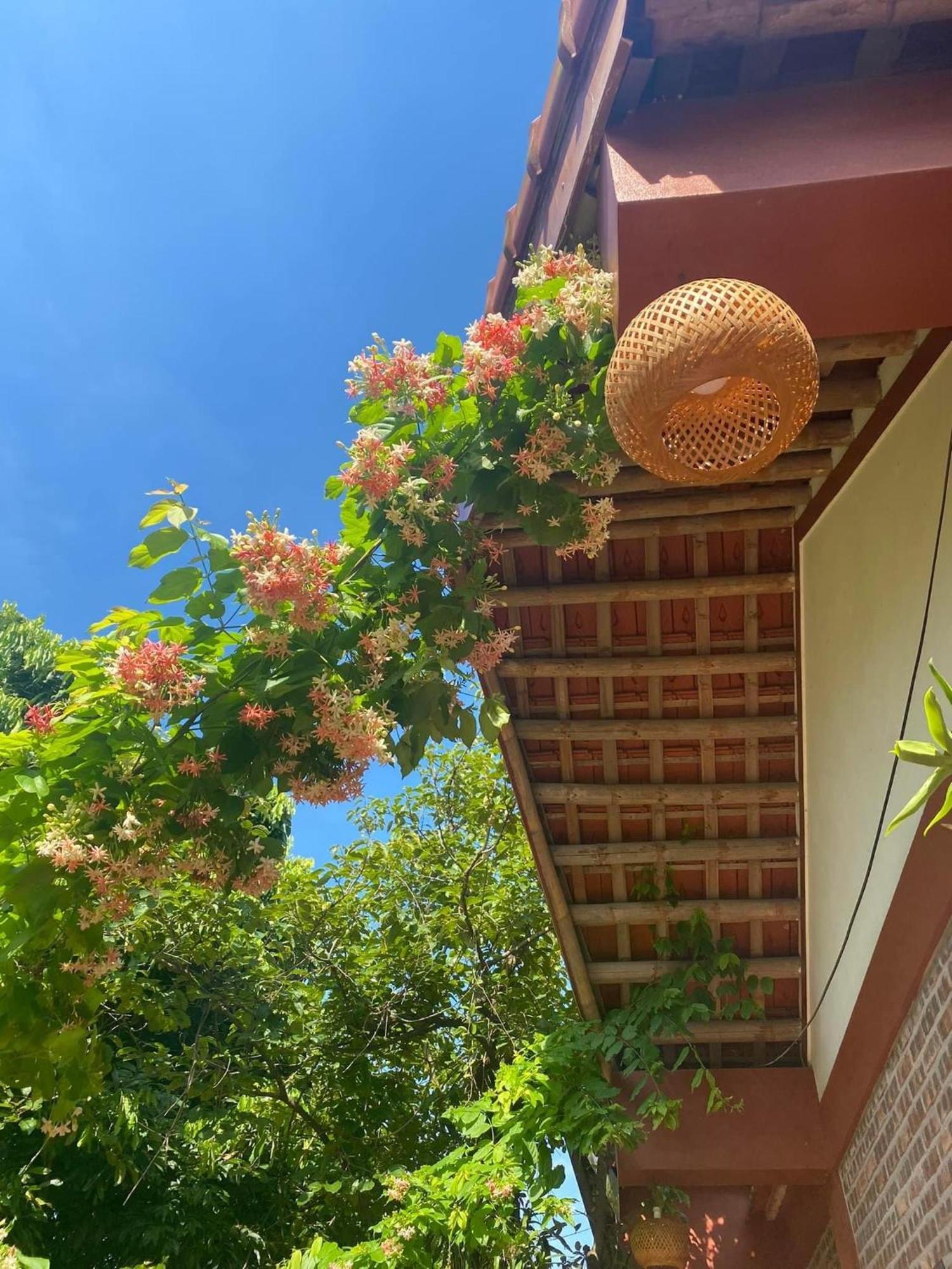 Thuy Xuyen Tam Coc Homestay Vu Lam Exterior photo
