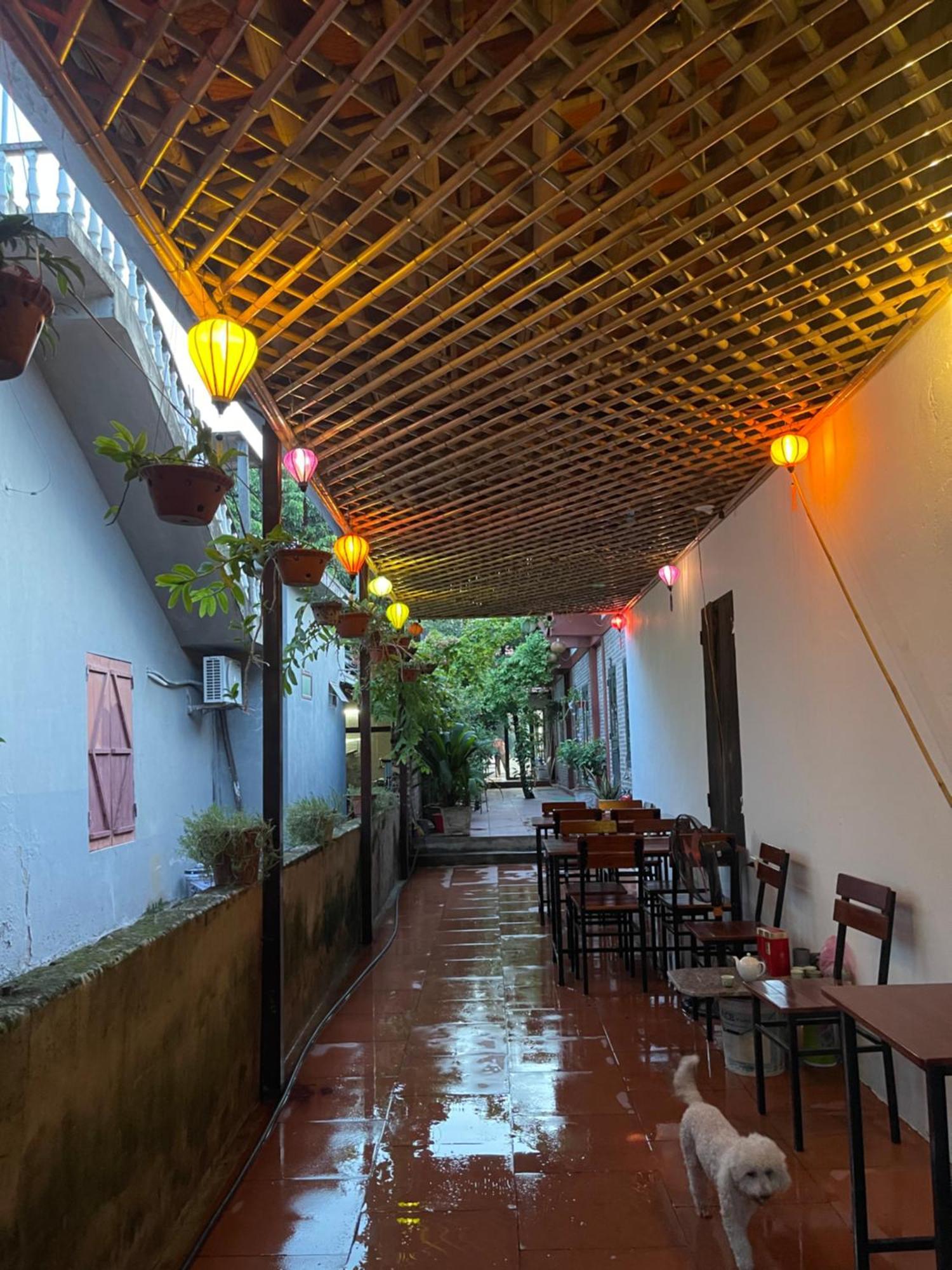 Thuy Xuyen Tam Coc Homestay Vu Lam Exterior photo